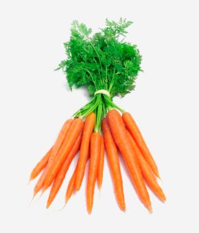Zanahorias en rama