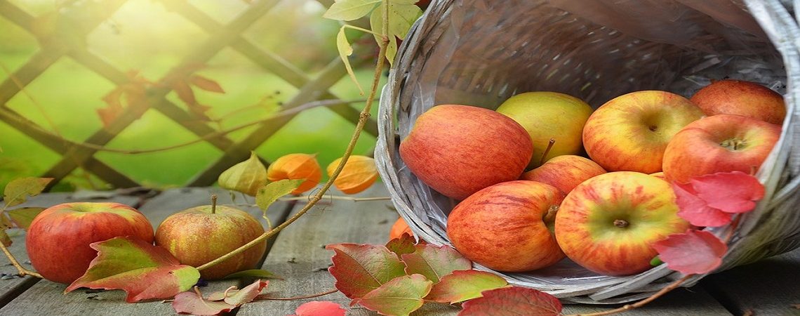 Las mejores 25 frutas de otoño para consumir toda la temporada